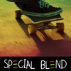 Nothing Like It(feat. Tim Frankeny & Yuck) - Special Blend&Tim Frankeny&Yuck