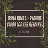 Pădure (feat. Irina Rimes) (ReMake EDM Version) - Ciubo&Irina Rimes