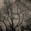 Dark Days (纯音乐) - Ben Walter