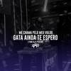 Me Chama Pelo Meu Vulgo, Gata Ainda Te Espero [ Funk RJ & Piseiro] (Explicit) - Dj Ph de Vila Velha&Funk SÉRIE GOLD