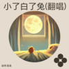 小了白了兔 (cover: 茨君) - 幼年洛洛