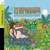 Her Face - Luiz Bonfá