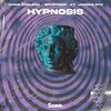 Hypnosis(feat. Jordan Rys) - Chris Robleda&WildVibes&Christopher De Spiegeleire&Wouter Postelmans&Jordan Rys&Benjamin Waldee