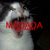 Madada - Crazy Donkey金大智