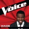 Rehab (The Voice Performance) - WADE