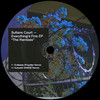 Endlessly (Propellar Remix) - Sultans Court&Propellar&Julius Klaus&Markus Hartung