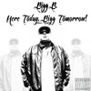 Back 2 the Future - Bigg B