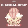 Flying High! (Frame Radio Edit) - DJ Gollum&dj cap