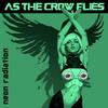 As The Crow Flies (Non Stop Erotic Cabaret Remix) - neon radiation&Non Stop Erotic Cabaret&Gary Blake&Damian McDonald&Timothy Rushworth