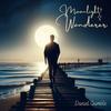 Moonlight Wanderer - Daniel Gamble