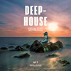 Put My Shoes On (Loopus & The Waz Exp. Remix) - Scheibosan&Shanti Roots&Rino(Io)DJ&Loopus&the Waz