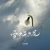 雪中开出花 (伴奏) - 苏星婕