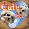 Cute (萌宠小曲儿) - Xun