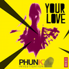 Your Love (White Spaces Scorpio Remix) - Phunk Investigation&Kwesi