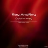 Cold In May (Original Mix) - Ray AndRey