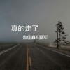 真的走了 - 鲁佳鑫&夏军