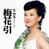 梅花引 - 宋祖英