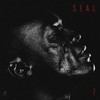 Do You Ever - Seal