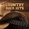 I Love This Bar - Toby Keith