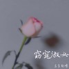 窈窕淑女 - 良音制噪&小氧