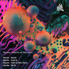 Funked Up (Flavius Remix) - SeBasstian&Flavius