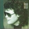 (There's) No Gettin' Over Me - Ronnie Milsap