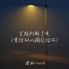 当路灯断了电(曾经的心掏空给你) - 靡雨truth