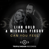 Can You Feel (Radio Edit) - Lian Gold&Michael Firsov