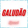 Galudão (Speed) - mc lobão&MC Fefe Da ZL&Wboy
