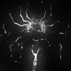 Not My Problem (Slowed) - Barcode&Synapse