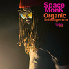 The Rising Funk - Space Monk&Yared