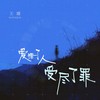 爱错了人受尽了罪 - 王娜