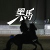 黑马 - 周文凯