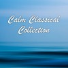 III - Lagoon Chambers Orchestra