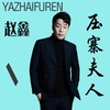 压寨夫人（DJ沈念版） (Remix) - 赵鑫