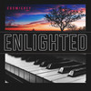 Enlighted - Cosmickey