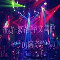 董贞繁花中文舞曲DJ阿奇