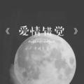 爱情错觉半吨兄弟
