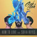 How To LoveCash Cash&Sofia Reyes