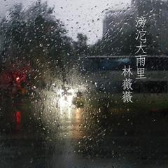 成语什么雨滂沱_成语故事简笔画(4)