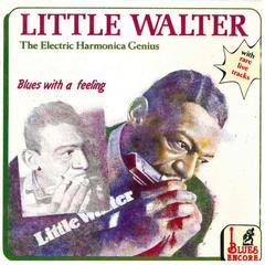 The Electric Harmonica Genius