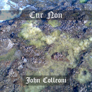 John Colleoni《Cur Non(Motus IV)》[MP3_LRC]