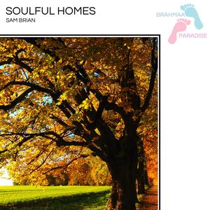 Sam Brian《Soulful Homes(Original Mix)》[MP3_LRC]