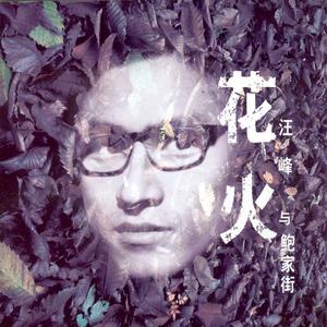 汪峰《我爱你，生活》[MP3_LRC]