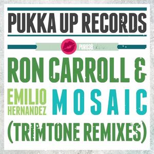 Ron Carroll&Emilio Hernandez《Mosaic(Trimtone Peak Time Vocal Mix)》[MP3_LRC]