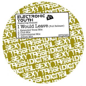 Electronic Youth&Shanaz《I Would Leave(Extended Vocal Mix)》[MP3_LRC]