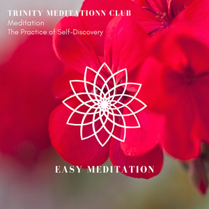 Mystical Guide&Trinity Meditationn Club《Long Journey(Original Mix)》[MP3_LRC]