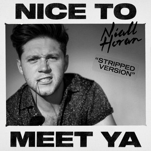 Niall Horan《Nice To Meet Ya(Stripped Version)》[MP3_LRC]