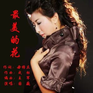 国巍 - 最美的花