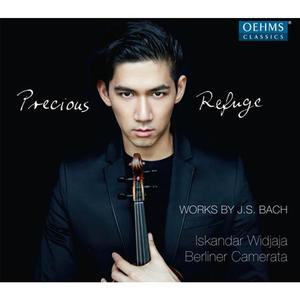 Iskandar Widjaja&Berliner Camerata《III. Presto》[MP3_LRC]